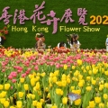 Victoria Park Flower Show