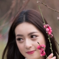 人面桃花相映红