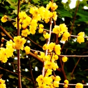 ��÷�����ֻ����㣩