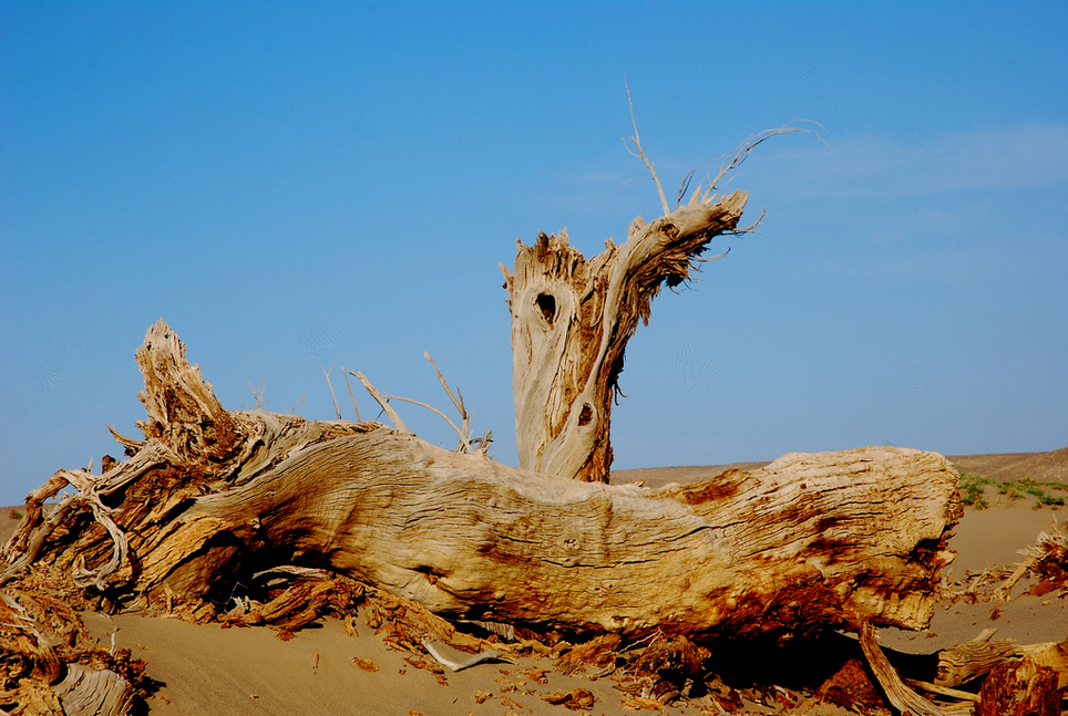 DSC_6687.jpg