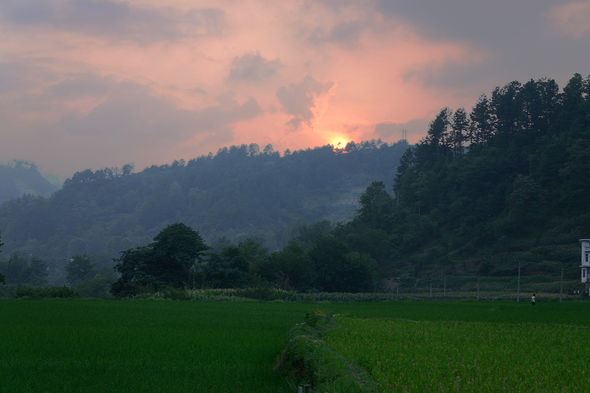DSC_0830.jpg