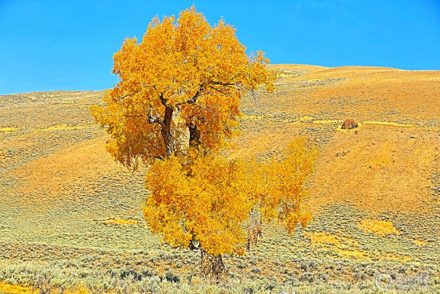 Scene from Lamar Valley -2.jpg