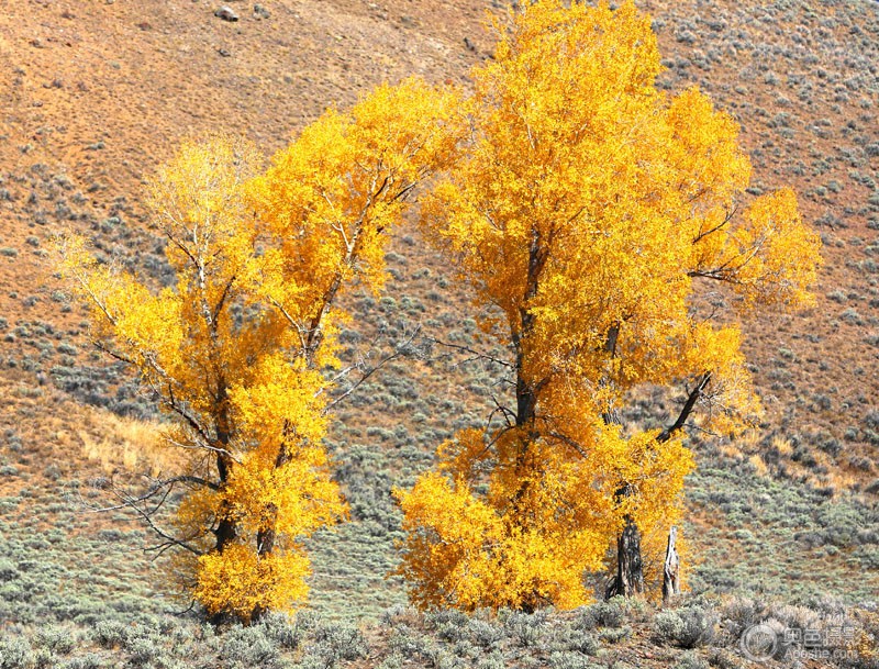 Scene from Lamar Valley -3.jpg