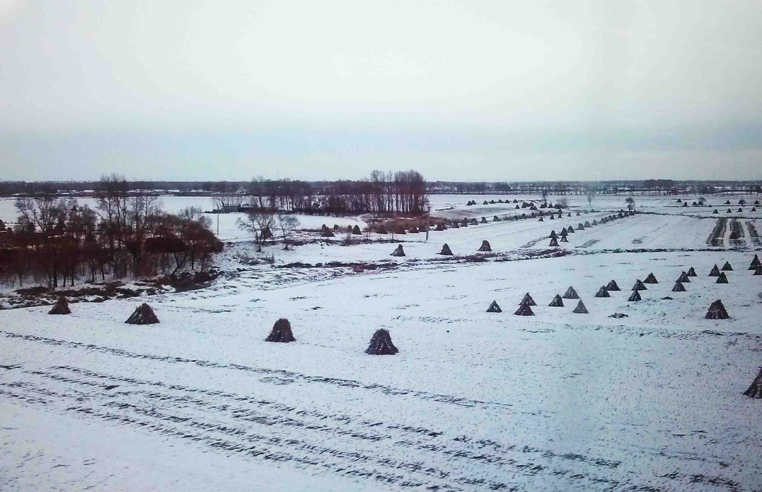 07.jpg
