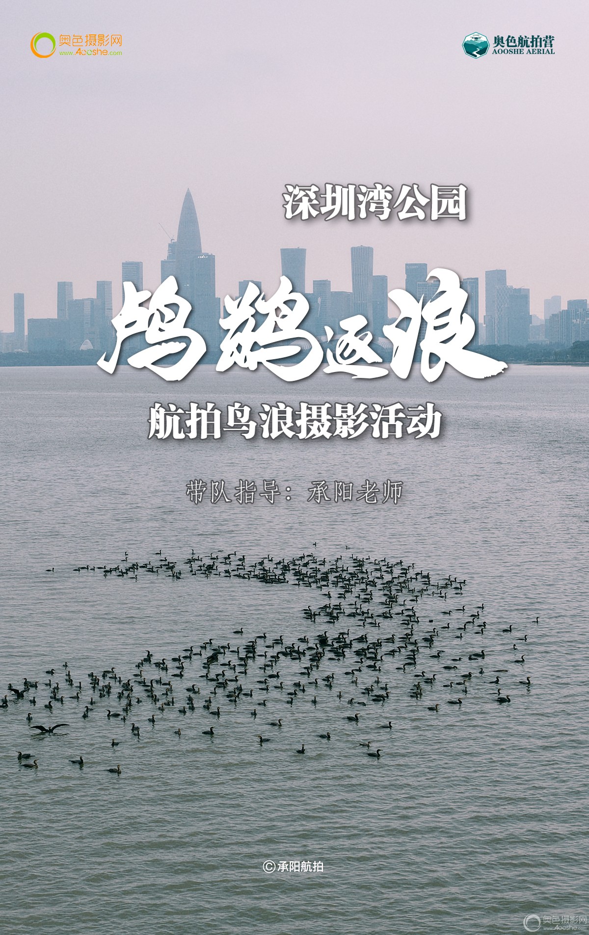 深圳湾鸟浪航拍封面.jpg 深圳湾鸟浪航拍封面.jpg