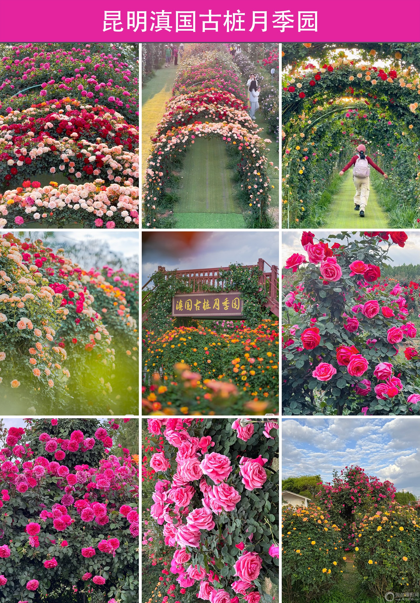 WechatIMG21307 ����.jpg