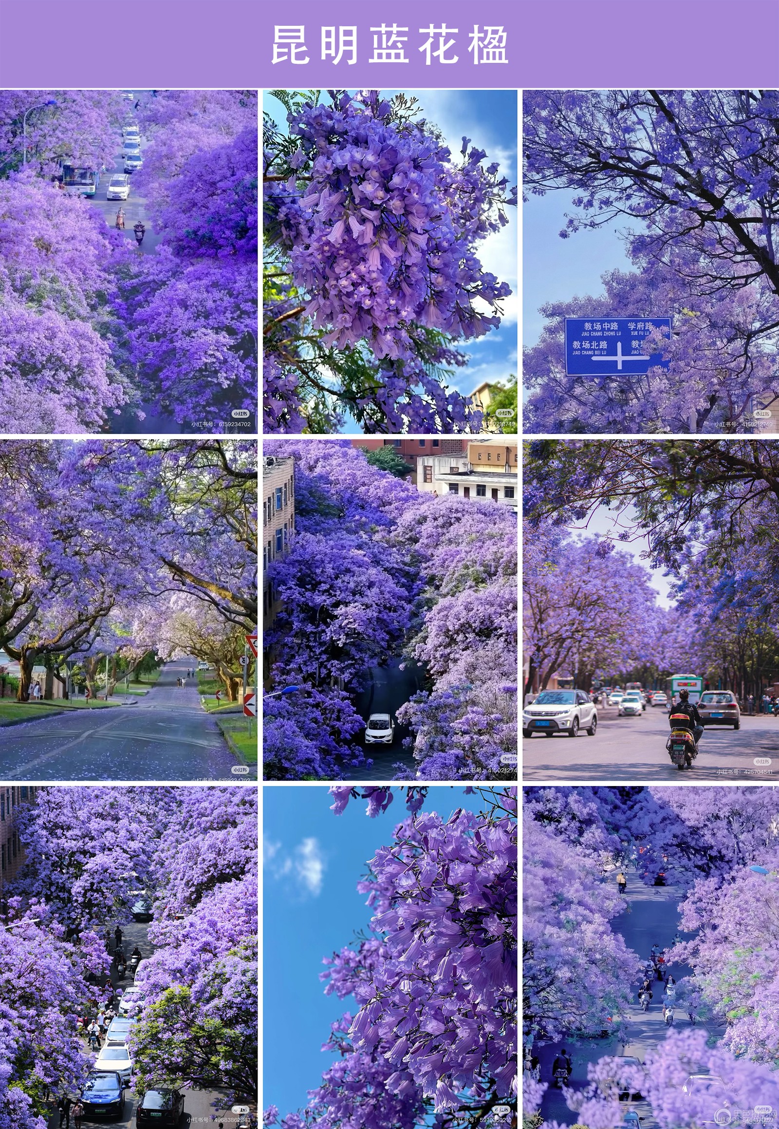 WechatIMG21314 ����.jpg