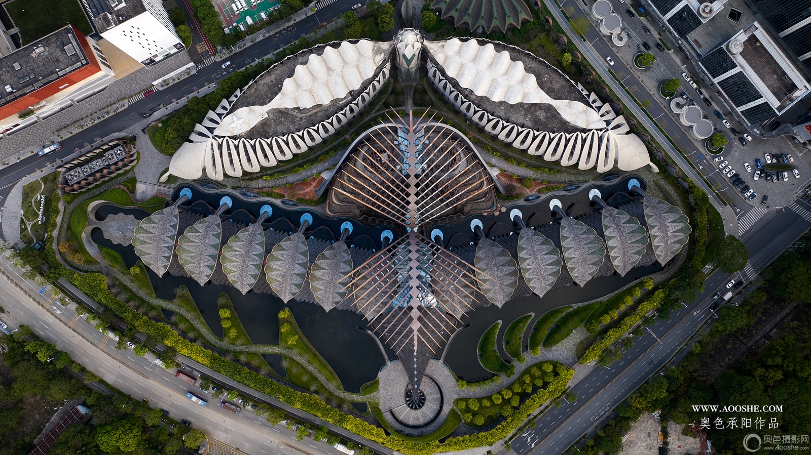 DJI_20250314175357_0021_D ����_1.JPG