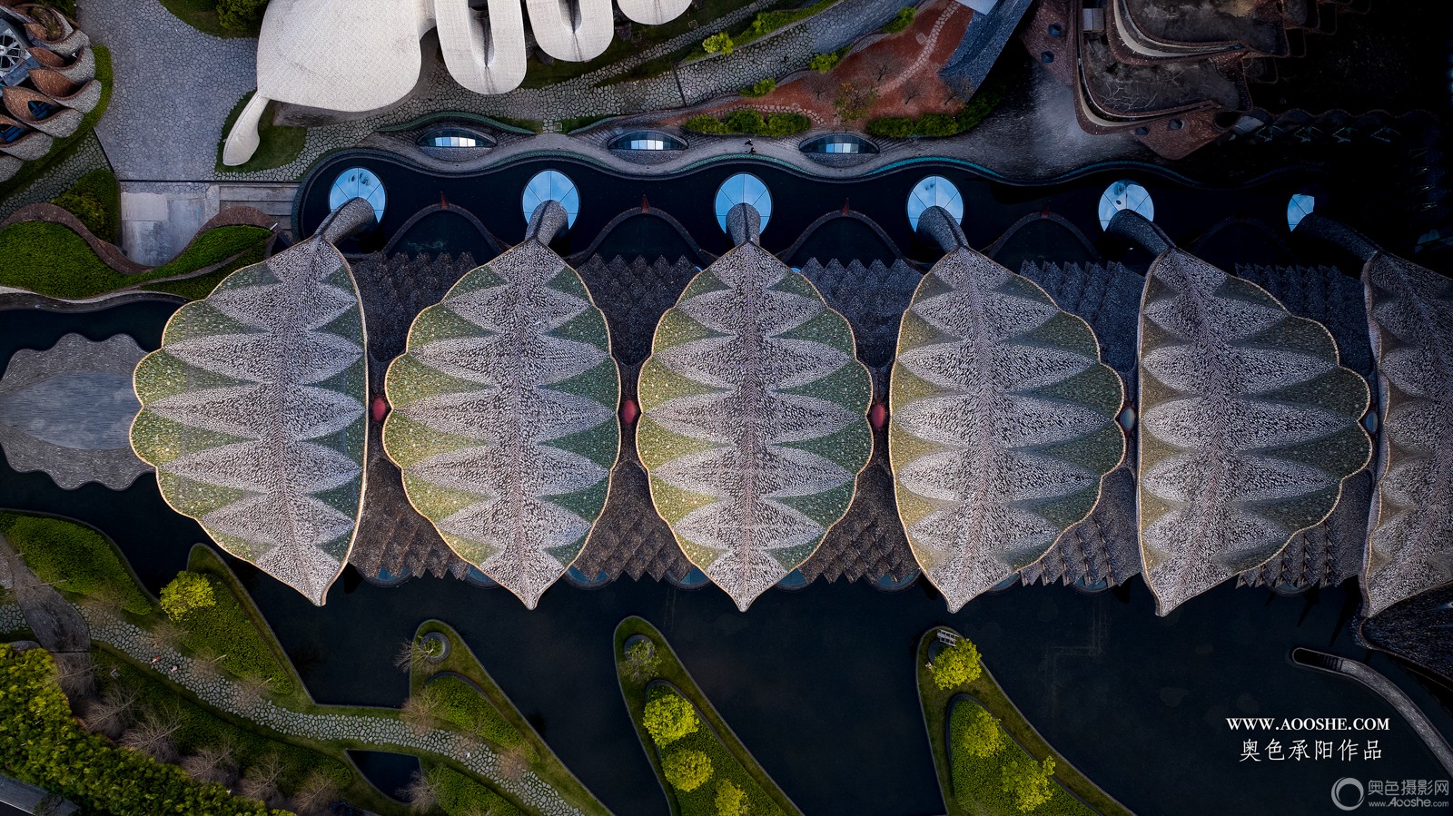 DJI_20250314181448_0043_D ����_1.JPG