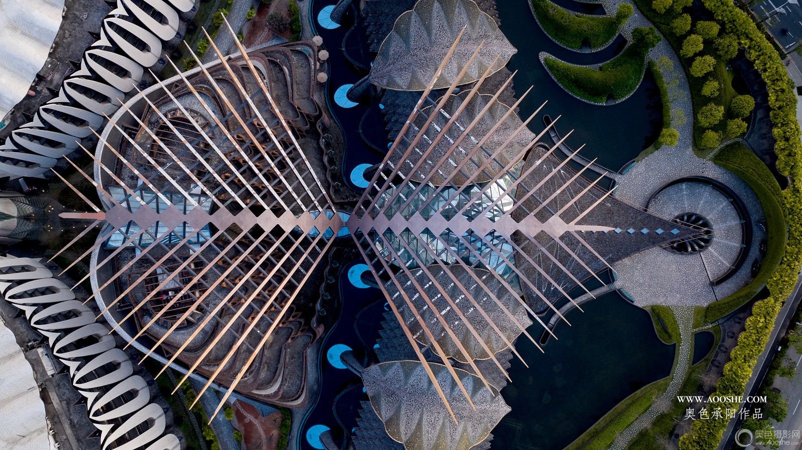 DJI_20250314181740_0051_D ����_1.JPG