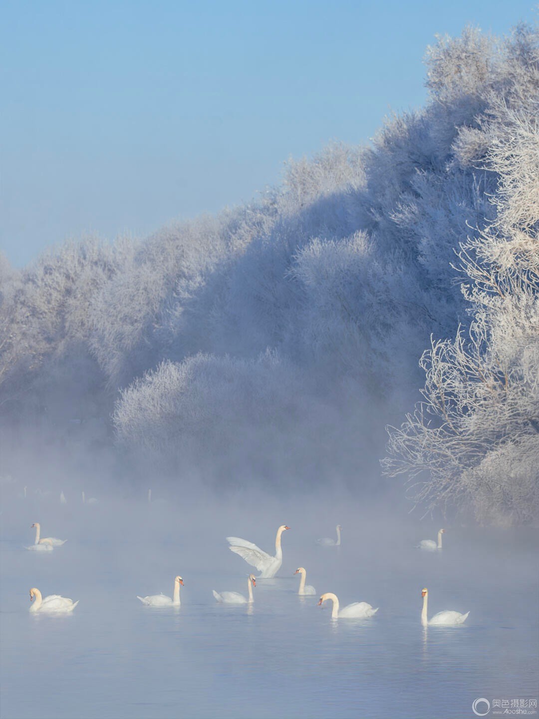 ���¶�ʮ�ȣ����ĵ��˰����ģ����_2_�·�fotochen_����С������ҳ��.jpg