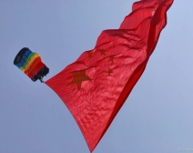 麣չ2010