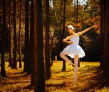 森林芭蕾