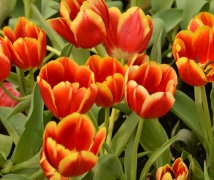 ��۾S���������@����չ�[